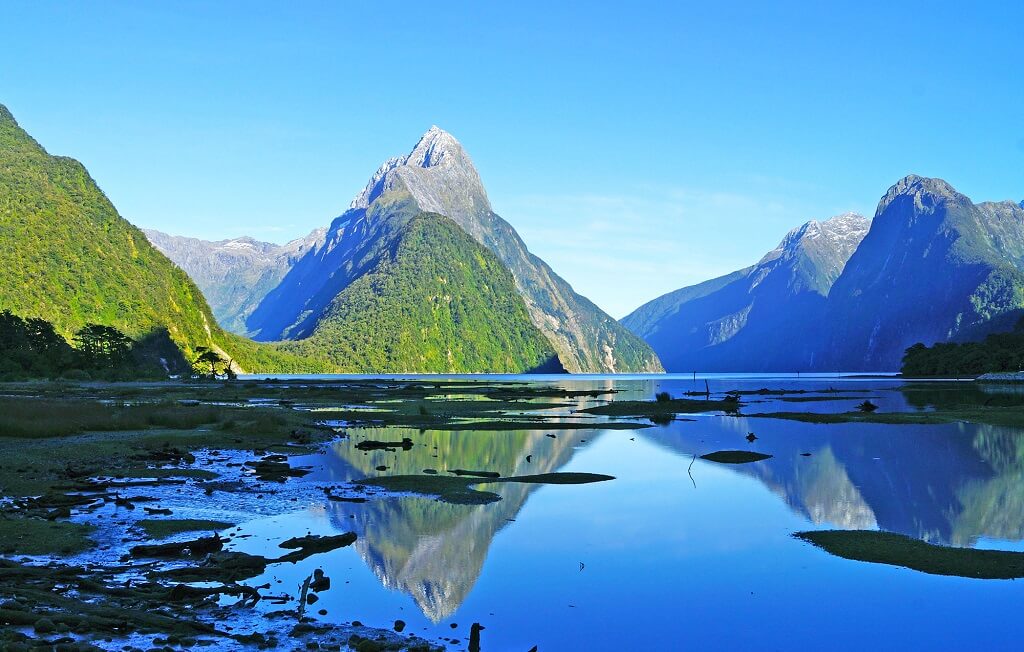 Milford Sound Tempat Rekreasi Di New Zealand